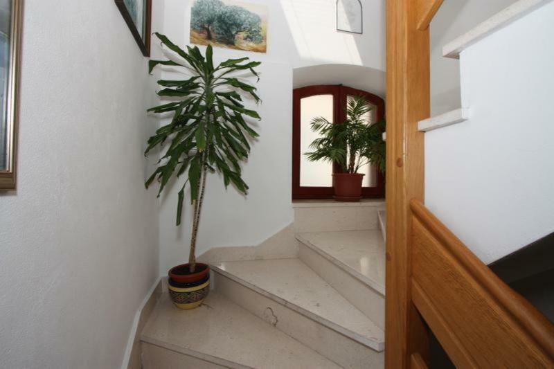 Marjan Apartment & Rooms Split Dış mekan fotoğraf